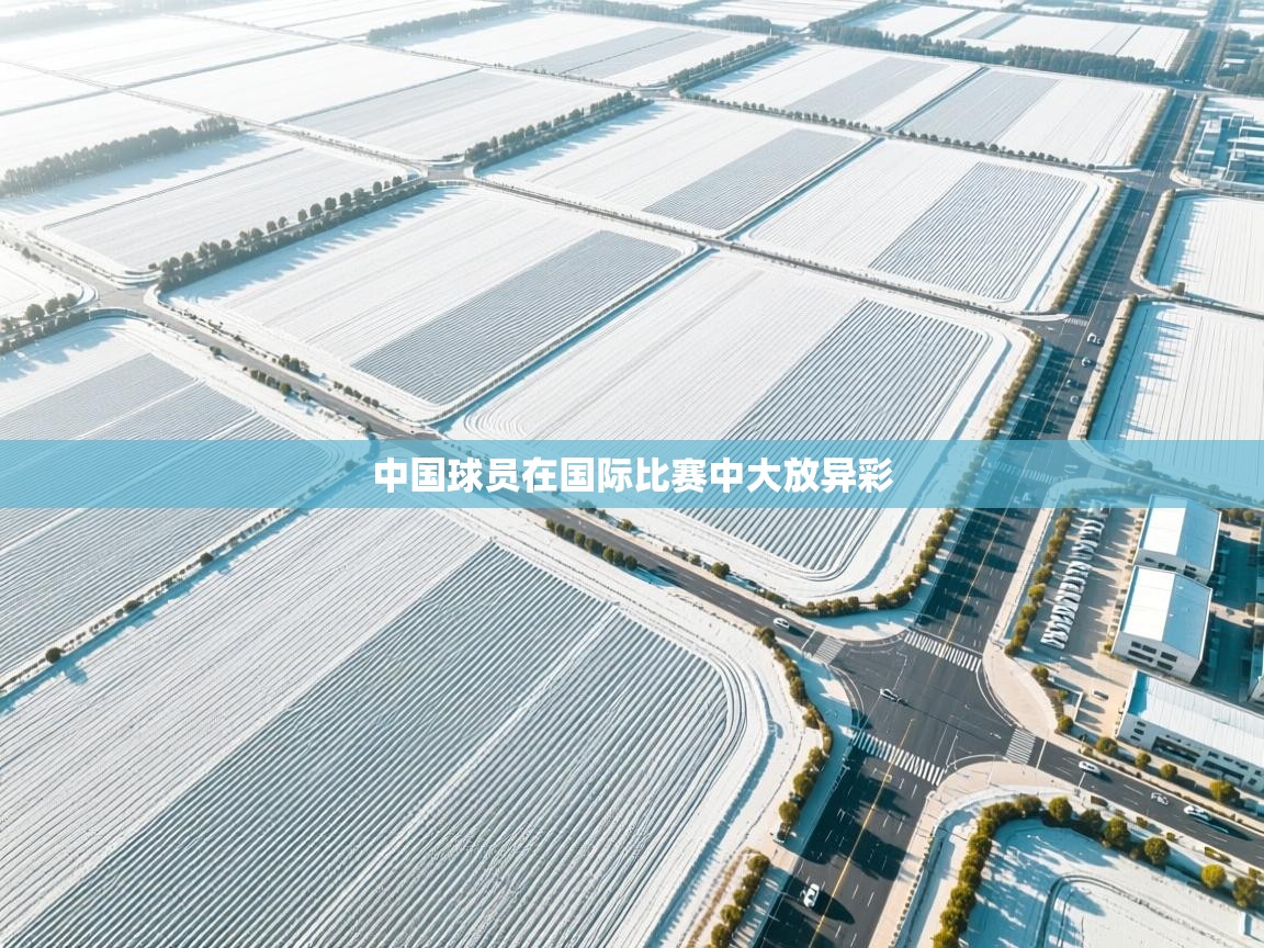 中国球员在国际比赛中大放异彩