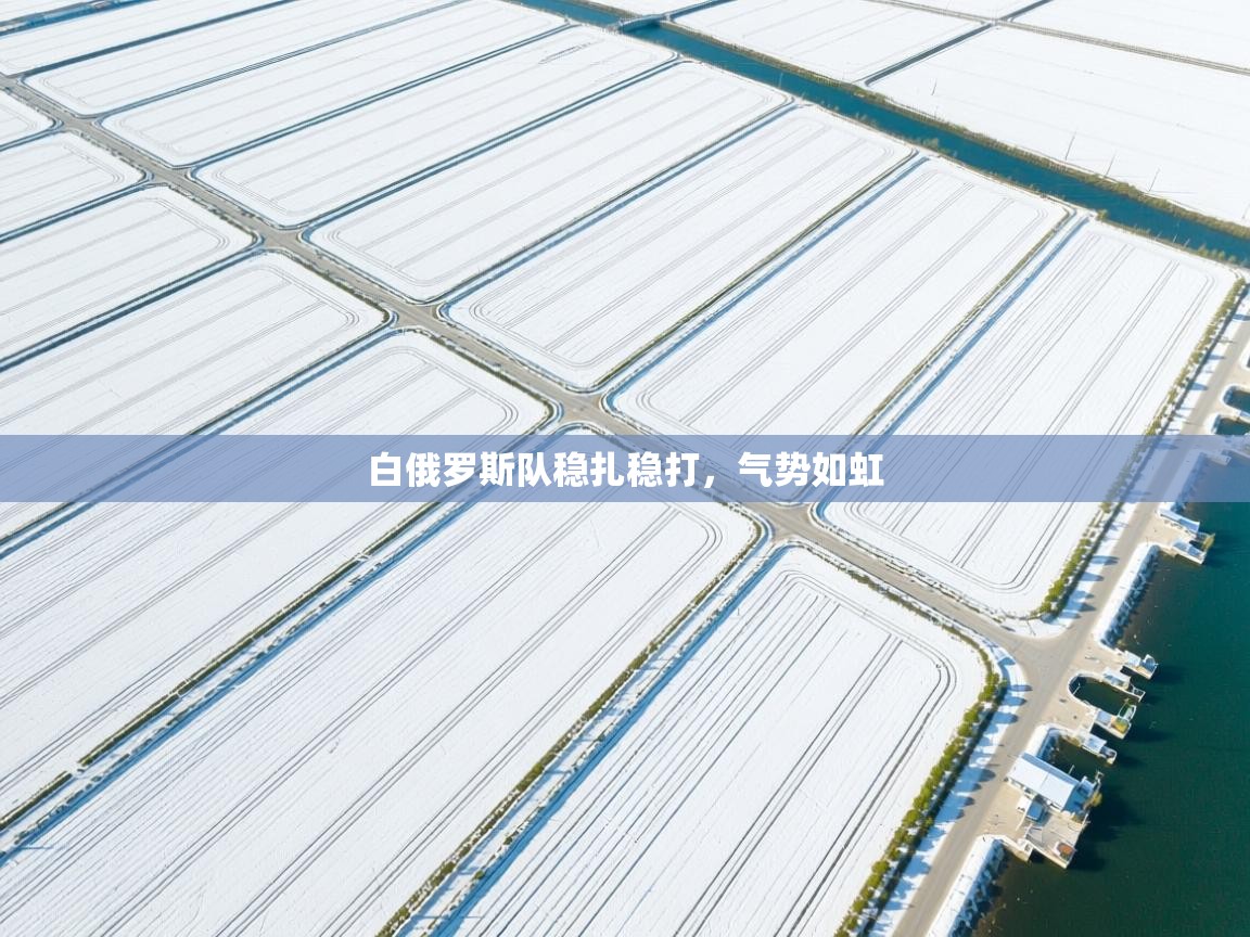 白俄罗斯队稳扎稳打，气势如虹